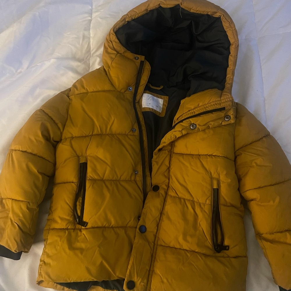 Mustard boy puffer